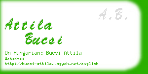 attila bucsi business card